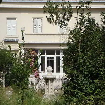 Ivo Split